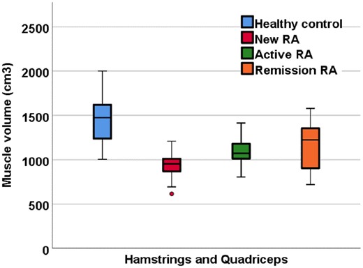 Quantitative muscle volume MRI measurements in RA patients and healthy controls