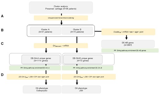 Step-wise approach integrating whole-transcriptome clustering analysis with clinical data