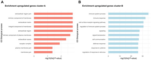 Top 10 most significant enriched pathways on each cluster