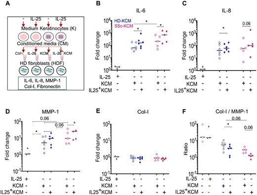 IL-25 keratinocyte priming enhances paracrine fibroblast inflammatory responses