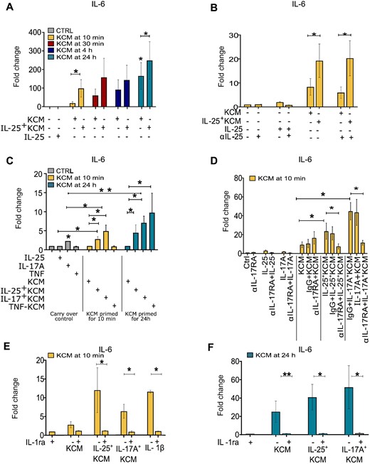 IL-25 promotes the release of fibroblast-activating factors by keratinocytes at early time points