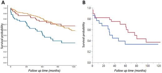 Survival outcomes