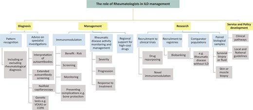 The role of rheumatologists in the management of patients with interstitial lung disease (ILD)