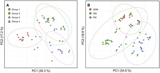 Principal component analysis of MRI findings. PC plots of (A) 58 patients in Groups 1–4 and (B) all 85 patients classified according to the 2017 EULAR/ACR classification criteria are presented. Each point represents each patient and is colour-coded for the subgroups. 95% probability ellipses are shown according to the subgroups. The percentage of variance explained by each component is indicated on the axis labels