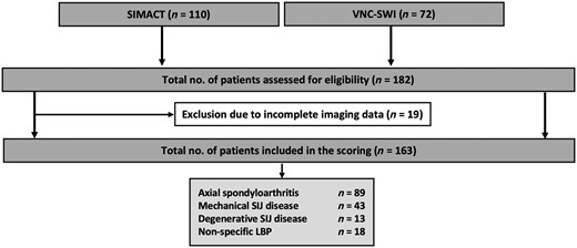 Flowchart of study inclusion. CT: computed tomography; LBP: low back pain; MRI: magnetic resonance imaging; RG: reader group (based on years of experience in musculoskeletal imaging); RG1: inexperienced reader group; RG2: semi-experienced reader group; RG3: experienced reader group; SIMACT: Sacroiliac Joint Magnetic Resonance Imaging and Computed Tomography Study; VNC-SWI: Virtual Non-Calcium—Susceptibility Weighted Imaging study; XR: X-ray