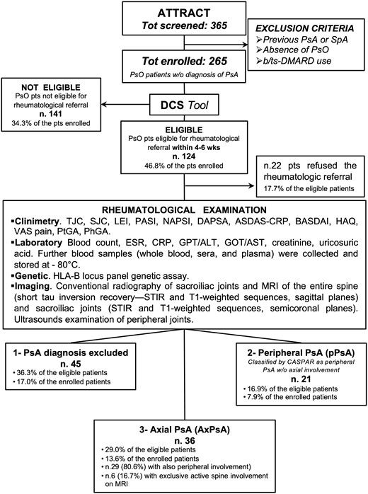 Schematic design of the ATTRACT study. The figure shows the design of the ATTRACT (Axial psoriaTic arThritis scReening AnCona iTaly) study. N = 365 consecutive patients with psoriasis, who consented to participate in the study, were screened in the Dermatology Clinic to determine their eligibility for rheumatological referral and then evaluated in the rheumatologic outpatients’ clinic as shown in the box. Pso: psoriasis; b/tsDMARDs: biologic/targeted synthetic DMARDs; DCS: dermatologist-centred screening; TJC: tender joint count; SJC: swollen joint count; LEI: Leeds Enthesitis Index; PASI: Psoriasis Area Severity Index; NAPSI: Nail Psoriasis Severity Index; DAPSA: Disease Activity Index For Psoriatic Arthritis: ASDAS-CRP: Ankylosing Spondylitis Disease Activity Score With C-Reactive Protein; VAS: Visual Analogue Scale for pain; PtGA and PhGA: Patient and Physician Global Assessment, respectively; STIR: short tau inversion recovery