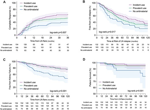 Study outcomes according to the timing of use of antimalarial drugs regarding the LN flare