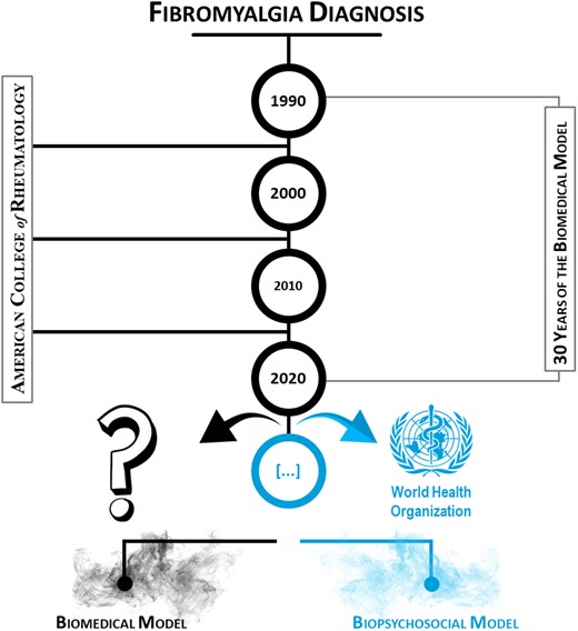 Timeline of the biomedical model for the evaluation of FM patients