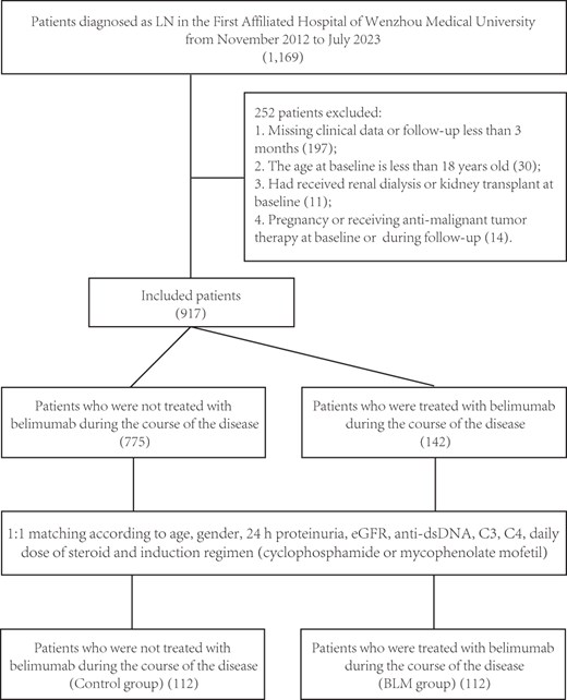 The selection process for eligible patients. BLM: belimumab; C3: complement factor 3; C4: complement factor 4; dsDNA: double-stranded DNA; eGFR: estimated glomerular filtration rate; LN: lupus nephritis