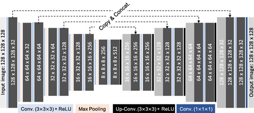 Schematic description of CUSIP with the number of filters indicated in the convolution steps.