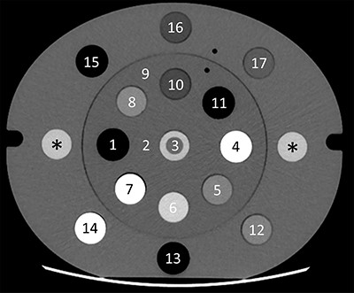 Virtual monoenergetic (110 keV) fast kV-switching DECT image of the electron density phantom with the inserts, where the positions 1–4 (central) and 5–17 (peripheral). The asterisks (*) indicate the lateral insert positions where the CT numbers and profiles of the metal inserts were measured. Note that in this image the lateral inserts are of PMMA.