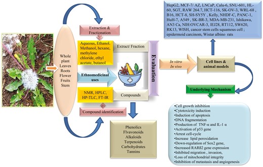 Graphical Abstract