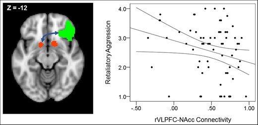Region-of-interest masks for the bilateral NAcc (red) and right VLPFC (green). The arrow represents functional connectivity between the left NAcc and right VLPFC. The scatterplot depicts a negative association between the volume of noise blasts administered after provocation (i.e. retaliatory aggression) and functional connectivity estimates between the left NAcc and right VLPFC (controlling for gender). Curved lines represent 95% C.I. around the partial regression line.