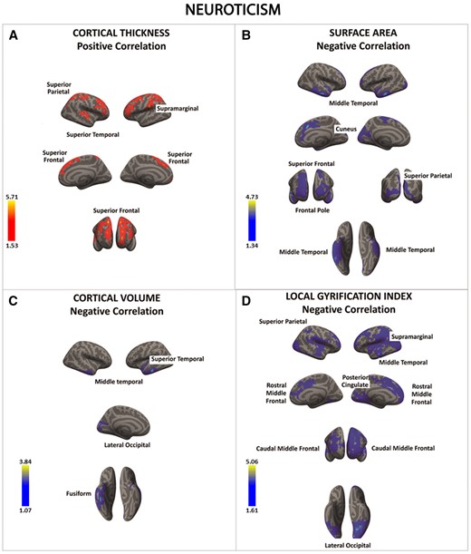 There was a significant positive association between neuroticism and cortical thickness in a series of fronto-parietal regions (regions in red) (A). In contrast, there was a significant negative association between neuroticism and surface area, cortical volume, and local gyrification index in frontal, parietal, temporal and occipital cortices (regions in blue) (B–D). Color bar: −log10 (P value).