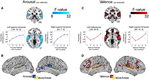 Activation maps of significant correlations between BOLD signal and (A) arousal after variance explained by valence has been removed. Significant relationships are evident in bilateral superior temporal gyri and right mid-occipital cortex. Overlap between this activation (blue) and that of the voice localiser (yellow) is shown in (B). Activation maps of significant correlations between BOLD signal and (C) valence after variance explained by arousal has been removed. Significant relationships are evident in bilateral superior temporal gyri, inferior frontal gyri, hippocampi, medial orbitofrontal, superior frontal gyri and midcingulum. Overlap between this activation (red) and that of the voice localiser (yellow) is shown in (D). Activations in (A) and (C) are illustrated on a T1-weighted average structural template. The line graphs illustrate BOLD signal change in response to the behavioural ratings (from 0 to 1; low to high arousal and negative to positive valence, respectively, in five bins of 0.2).