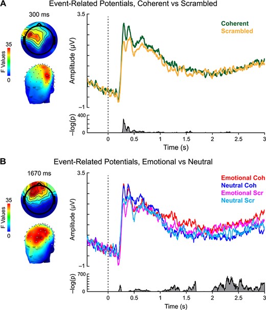 ERP analysis. (A) Main effect of action coherency. Left: scalp topography of significant activity for coherent vs scrambled movements, 300 ms after stimulus onset. Right: grand average waveforms for coherent (green) and scrambled (gold) PLDs. Bottom right: summed inverse P values across all sensors and time points revealed significant activity 288–330 ms after stimulus onset. (B) Main effect of content. Left: scalp topography of significant activity for emotional vs neutral movements, 1670 ms after stimulus onset. Right: grand average waveforms for emotional coherent (red), neutral coherent (blue), emotional scrambled (magenta) and neutral scrambled (cyan) PLDs. Bottom right: summed inverse P values across all sensors and time points revealed significant clusters of activity within our time window of interest, roughly 1288–1680 ms after stimulus onset.