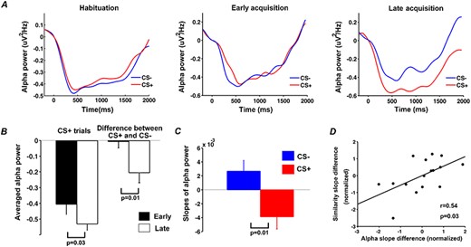 Event-related alpha desynchronization during habituation and acquisition. (A) Alpha-band (8–12 Hz) power averaged across CS+ trials and across CS- trials during habituation, the early period of acquisition and the late period of acquisition. (B) CS +-evoked alpha ERD and the difference in CS+ and CS- alpha-band power for early and late acquisition periods. (C) The slope of linear fit to the time course of alpha-band power across acquisition trials. (D) Relation between the rate of event-related alpha-band power decrease and the rate of pattern similarity change in V1 (each point in the plot represents one participant).