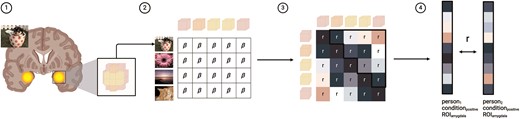 Schematic of methods for computing dyadic neural (multivoxel) similarity. Figure created using BioRender.com/e28r758.