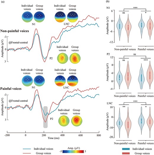 ERP results for different types of voices. (a) ERP waveforms and scalp topography distributions elicited by different types of voices. The dots in the scalp topographies indicate the electrodes included in the analysis. (b) Violin plots depict the N1, P2, and LNC amplitudes. Box plots illustrate the quartile range of the data, with the dot representing the median. ns: P > .05, *P < .05, **P < .01, ***P < .001.