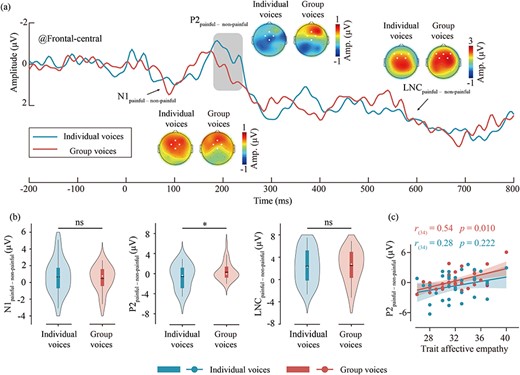The differential ERP waveforms of group and individual voices and their correlation with trait affective empathy. (a) Waveform and topographical maps of differential ERP of group (red) and individual (green) voices. The regions marked by dots in the topographical maps indicate the electrode points included in the analysis. (b) Results of difference tests of the differential ERP amplitudes between group and individual voices. Violin plots illustrate the distribution of the data, while box plots depict the quartile range of the data, with dots representing the median. ns: P > .05, *P < .05. (c) The correlation between trait affective empathy scores and the P2painful–nonpainful amplitudes for group and individual voices. Dots represent the mean values for each participant for group and individual voices, while the lines indicate the best linear fit for each, with the shaded area representing the 95% confidence interval.
