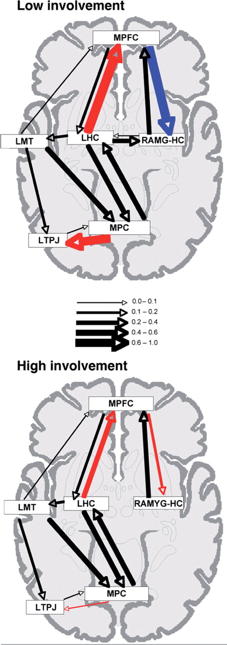 Diagrammatic representation of the effective connections within the neural network mediating AM retrieval for (top) low self-involvement events and (bottom) high self-involvement events. Connections which differed significantly across conditions are depicted in color (red = positive influence, increasing activity in the target node, blue = negative influence, decreasing activity in the target node). Connections which did not differ significantly between groups are depicted in black. Arrow thickness represents the strength of the connections (i.e. the value of the path coefficient), as described in the key.