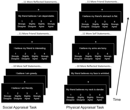 Both tasks included four fMRI runs consisting of the presentations of appraisal statements with intervening fixation periods. During the presentation of each statement, subjects would read and respond using a hand-held button box. Within each run, all statements for each condition (self, friend and reflected) would occur sequentially.