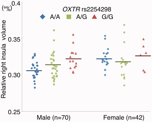 Association between OXTR rs2254298A and regional GMV in the right insula. Means and distributions of relative regional GMV in the right insula (regional GMV × 1000/ICV). Means are represented by solid horizontal lines drawn on each group’s distribution.