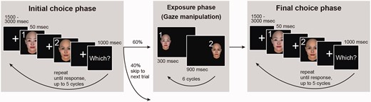 Iterated choice task design. A trial, using the same face pair throughout, consisted of an initial choice phase, a manipulated exposure phase, and a final choice phase. To randomize the task, 40% of trials ended after the initial choice. In choice phases, the two faces were presented in sequence, followed by an option to respond. The cycle was repeated, up to five times, until the subject indicated which person they would rather ‘approach and talk to’. In the exposure phase, durations were biased toward the initially unchosen face to subconsciously bias subject preferences.