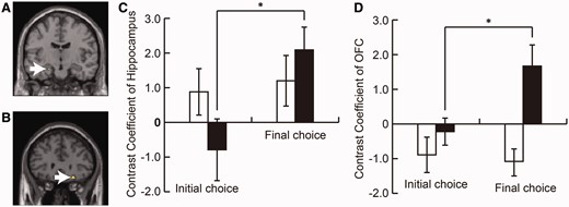 Gaze manipulation increased the activation of the hippocampus and the OFC. The contrast between the response cycles of the initial and final choice phase showed activations in the left hippocampus (A, −22, −12, −20) and the right OFC (B, 24, 30, −16). ROI analysis showed that these regions were activated only in the Changed Choice trials (C, D). These two regions were considered to play an important role in face attractiveness judgment. White arrows indicate the peak voxels in the hippocampus (A) and the OFC (B). White bars are Firm Choice, and black bars are Changed Choice trials. To define the activated regions, a statistical threshold at P < 0.005 (uncorrected) was used. Each peak voxel was used as the center of 4-mm radius spherical ROI. Error bars mean SEM; *P < 0.05. All MRI data are from the Main Manip. group.
