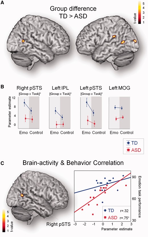Task-based brain activity: group differences and brain–behavior relationships. (A) Between-group comparisons revealed stronger activity in bilateral pSTS in TD controls (small volume, two-sample t-test, P < 0.05, corrected). Only two additional brain regions (left IPL and left MOG) showed a similar group effect when tested at a whole-brain level (whole-brain, two-sample t-test, P < 0.0005, uncorrected), highlighting the spatial specificity of this finding. No clusters were activated more in the ASD compared with the TD group. (B) Cluster-based analysis revealed that group differences were specific to emotion recognition within bilateral pSTS and left IPL (not within left MOG). This was indicated by a significant group × task (Emo, Control) interaction. (C) Emotion recognition abilities were positively correlated with activity in right pSTS (small volume, P < 0.05, corrected). No other brain regions showed this relationship when tested at the whole-brain level (whole-brain, P < 0.0005, uncorrected).