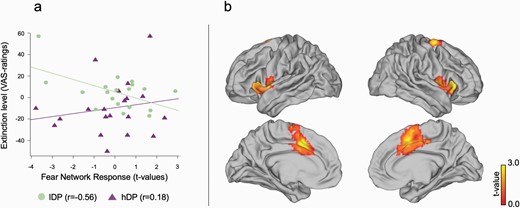 The relation between extinction and fear processing. (a) The degree of extinction in affective learning index (VAS-rating before extinction vs. after extinction) correlated negatively with the t-values of the extended fear network ROI for niCS+ vs. niCS− specifically for lDP as compared to hDP. (b) A post-hoc test suggested that this effect was especially driven by interactions in cACC but contributions were seen throughout the “fear network.”.
