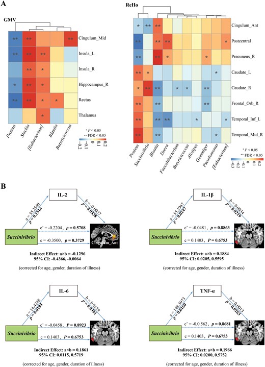 Microbiota–gut–brain crosstalk centered on peripheral inflammation. (A) Spearman correlation analysis of the key microbial genera and changes in brain structure and function. The intensity of color represents correlation coefficient, red and blue represent negative and positive correlations, respectively. False discovery rate (FDR) was applied to correct multiple testing. (B) Mediation analysis testing whether inflammatory cytokines mediate the relationships between key microbial genera and changes in brain structure and function.