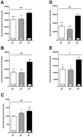 Locomotor reactivity to acute mild stress and to amphetamine in control mice. Following acute mild stress and amphetamine, KO mice exhibited a larger locomotor response than WT and Het mice. (A) Exposure to a novel environment in an open field. Nonparametric one-way ANOVA showed a significant effect of genotype [F(2,66) = 16.77; ### P < .001]. Post hoc analysis revealed significant differences between KO and WT (*** P < .001) or Het (** P < .01) mice. (B) Exposure to a saline injection in an open field. Nonparametric one-way ANOVA showed a significant effect of genotype [F(2,67) = 15.45; ### P < .001]. Post hoc analysis revealed significant differences between KO and WT (** P < .01) or Het (** P < .01) mice. (C) Exposure to a novel environment in a Y-maze. Nonparametric one-way ANOVA showed a significant effect of genotype [F(2,68) = 14.18; ### P < .001]. Post hoc analysis revealed significant differences between WT and KO (** P < .01) or Het (* P < .05) mice. (D) Amphetamine 1.5mg/kg. Nonparametric one-way ANOVA showed a significant effect of genotype [F(2,28) = 18.90; ### P < .001]. Post hoc analysis revealed significant differences between KO and WT (** P < .001) or Het (*** P < .001) mice. (E) Amphetamine 3mg/kg. Nonparametric one-way ANOVA showed a significant effect of genotype [F(2,36) = 8.43; # P < .05]. Post hoc analysis revealed significant differences between KO and WT  (* P < 0.05) or Het (* P < .05) mice. Horizontal locomotor activity is presented as the distance traveled just after exposure to a novel environment, after a saline injection or after amphetamine injection and cumulated over (A, B) 60min, (C) 8min, or (D, E) 90min. Values represent mean ± standard error of mean for the indicated numbers of animals.
