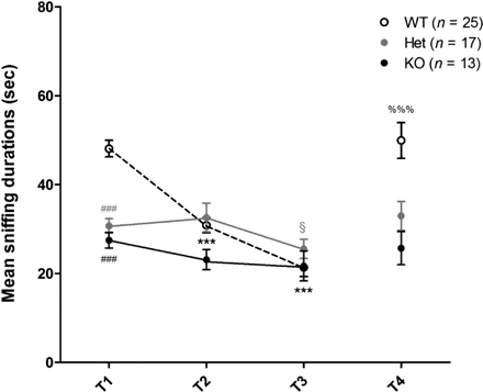 Social interaction and recognition in control mice. Social interaction and recognition, including habituation and discrimination, were impaired in Het and KO mice compared with WT mice. (T1) Social interaction. Nonparametric one-way ANOVA showed a significant effect of genotype [F(2,52) = 35.72; P < .001]. Post hoc analysis revealed significant differences between WT mice and Het (### P < .001) or KO mice (### P < 0.001). (T1–T3) Social recognition-habituation. When each genotype was considered, nonparametric one-way ANOVA of repeated measures revealed that the duration of sniffing was significantly different from T1 to T3 in WT [F(2,24) = 38.48; P < .001] and Het mice [F(2,16) = 7.18; P < .05] only. Post hoc analysis revealed significant differences between T1 and T2 (*** P < .001) or T3 (*** P < .001) for WT mice and between T2 and T3 for Het mice (§ P > .05). (T4) Social recognition-discrimination. Nonparametric paired t tests revealed a significantly longer sniffing duration in T4 than in T3 for WT mice only (%%% P < .001). The exploration activity is presented as the duration  of sniffing cumulated for each 3-min trial (T1–T4). Values represent mean ± standard error of mean for the indicated numbers of animals.