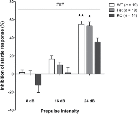 Prepulse inhibition of a startle response in control mice. KO mice were impaired in the prepulse inhibition of an acoustic startle response. Two-way ANOVA showed a significant effect of genotype [F(2,49) = 5.28; ### P < .001] and prepulse intensity [F(2,49) = 56.12; P < .001]; post hoc analysis revealed significant differences at 24 dB between KO and WT (** P < .01) or Het mice (* P < .05). Values represent mean ± standard error of mean for the indicated numbers of animals.