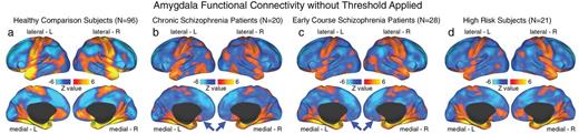 Unthresholded whole-brain amygdala functional connectivity patterns across groups. We highlight amygdala connectivity at the whole-brain level for (a) healthy comparison subjects (HCS; N = 96); (b) chronic schizophrenia patients (C-SCZ; N = 20); (c) early-course schizophrenia patients (EC-SCZ; N = 28); and (d) High-risk subjects (HR; N = 21). The purpose of this unthresholded analysis was to facilitate visual inspection of normative amygdala connectivity patterns relative to connectivity patterns across the 2 patient groups and HR individuals. This allows qualitative visualization of orbitofrontal cortex (OFC) connectivity reductions across clinical groups (blue arrows). These patterns further support the hypothesis that there exists a reduction in amygdala-OFC connectivity for C-SCZ and EC-SCZ groups, relative to HCS. Importantly, HCS showed robust positive amygdala-OFC connectivity consistent with primate anatomy studies22 (see panel a).