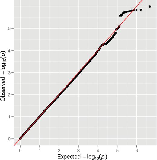 Q-Q plot for the genome-wide association studies of definite psychotic experiences at ages 12 or 18.