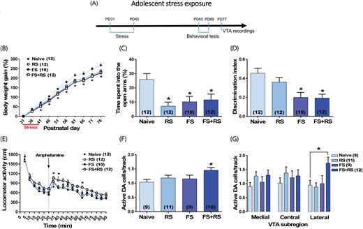 Long-lasting changes induced by adolescent stress exposure in adult rats. (A) Adolescent male rats (n = 10–12/group) were submitted to restraint stress (RS; at postnatal day [PD]31, PD32, and PD40), footshock (FS; daily through PD31–40); or a combination of FS + RS. At adulthood, animals were tested in the elevated plus-maze (EPM) (PD65), novel-object recognition (NOR) test (PD66–67), and locomotor response to amphetamine (PD68–69). Extracellular recordings of ventral tegmental area (VTA) dopamine (DA) neurons started 1 week after the behavioral experiments (PD77–102). (B) All stressors induced impairment in body weight gain and (C) anxiety-like responses in the EPM. (D) FS and FS + RS also disrupted cognitive function in the NOR test as indicated by a decrease in the discrimination index. Only the combination of FS + RS induced a DA hyper-responsivity as indicated by (E) an augmented locomotor response to amphetamine (0.5 mg/kg; injection is indicated by the dashed line) and (F) an increased number of spontaneously active DA cells which was (G) confined to the lateral VTA. In the VTA recordings, data from 5 animals (3 naïve animals, 1 exposed to RS, and 1 exposed to FS) were excluded due to electrode misplacement. Data are presented as mean ± SEM. *P < .05 vs naive rats.
