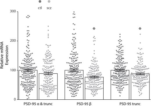 Decreased isoform-specific postsynaptic density-95 (PSD-95) mRNA expression in the dorsolateral prefrontal cortex (DLPFC) in schizophrenia. Quantitative PCR analysis of mRNA isolated from control (ctl, N = 210) and schizophrenia (scz, N = 175) subjects revealed decreased isoform-specific expression in the DLPFC in schizophrenia. No change was found with an assay that detected both alpha (α) and truncated (trunc) isoforms, while schizophrenia samples had decreased beta (β) (t = 4.7, df = 346.7, P < .05) and truncated isoform expression (t = 3.5, df = 373.5, P < .05). *P < .05.