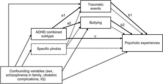 Examined model of the mediation between ADHD combined subtype and psychotic experiences. ADHD, attention-deficit/hyperactivity disorder.
