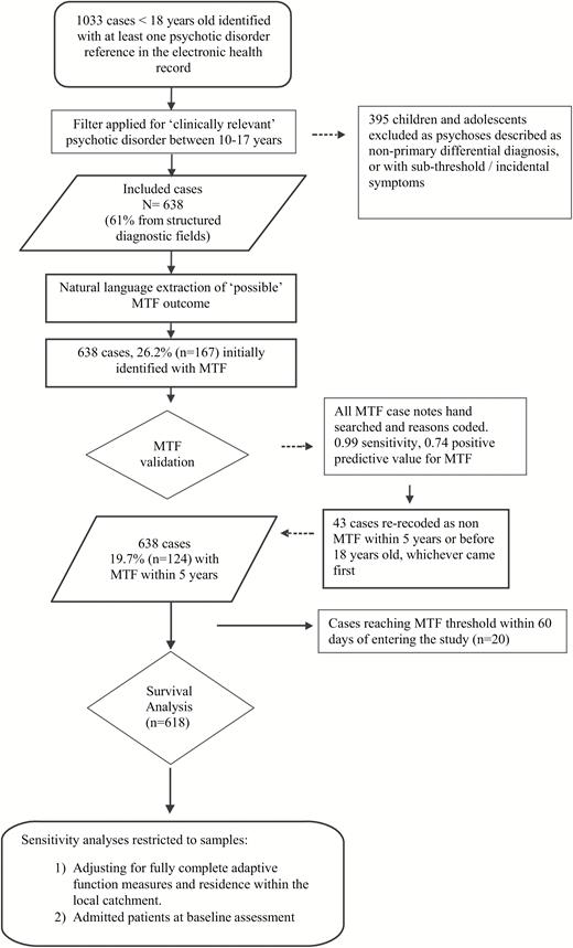 Flowchart of study selection and analysis.