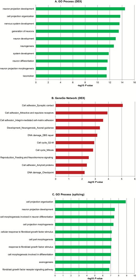 Enrichment analysis of differentially expressed (DEX) and differentially spliced genes in ZNF804A-depleted cells. The lists of DEX and differentially spliced genes between ZNF804A-specific siRNA-treated and glyceraldehyde-3-phosphate dehydrogenase-specific siRNA-treated samples (FDR 0.01) were imported into GeneGo Metacore. The bar charts show the top ranked Gene Ontology (GO) Processes (A, DEX) and (C, alternative splicing) and GeneGo Process Networks (B, DEX) identified by the enrichment analysis after multiple test correction (FDR 0.05). In all cases, only ontologies that pass multiple test correction are shown.
