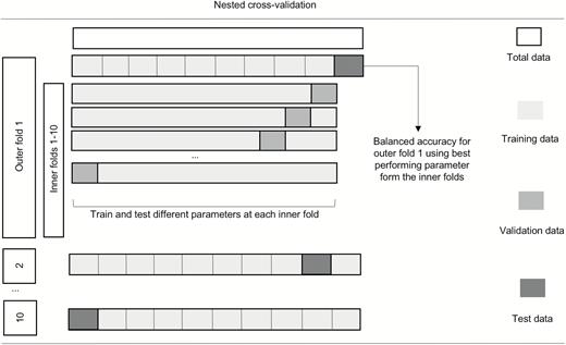 Schematic representation of nested CV. Nested CV involves a secondary inner CV loop using the training data from the primary outer CV split, where different sets of hyperparameters are tested (eg, different values for the C parameter for SVM). The best-performing hyperparameters among the 10 inner folds are then used to train a model in the whole training set defined by the outer loop. This model is then tested using the test set of the outer loop. The final performance is estimated by averaging accuracies in the test set across all 10 outer folds. CV, cross-validation; SVM, support vector machine.