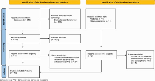 Study selection. The figure displays the study selection process for this review, arranged by studies identified via database searching and other methods as per 2020 PRISMA guidelines35.