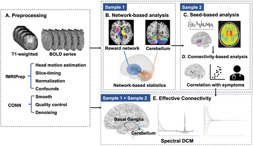 Overview of the Analysis Pipeline. (A) Preprocessing: the preprocessing pipeline was conducted using fMRIPrep and CONN, including slice-timing correction, normalization, quality control, denoising, and smoothing. (B) Network-based analysis: functional connectivity analysis was performed on Sample 1 to identify abnormal subnetworks in the reward network and cerebellum using network-based statistics (NBS). (C) Seed-based analysis: seed-based whole-brain functional connectivity analysis was used to identify altered connectivity in Sample 2, which also served as a validation for the findings from Sample 1. (D) Connectivity-based analysis: correlations between the altered connectivity and symptoms were examined using partial correlation models, controlling for age, gender, and motion parameters. (E) Effective connectivity: spectral Dynamic Causal Modeling (DCM) was then used to reveal causal effects within the identified connectivity in both Sample 1 and Sample 2.