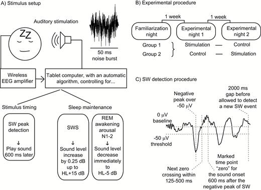 Visualization of the research procedure. In Figure 1C, the signal is the single trial data from the Fpz channel from one subject during the control night, during which no sounds were presented. HL = hearing level; SW = slow wave; SWS = slow-wave sleep.