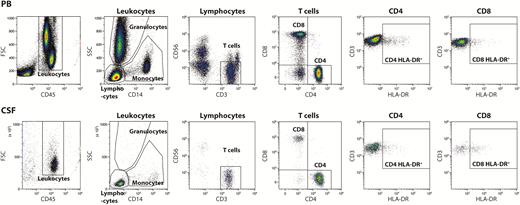 Gating strategy. Cells from the PB, top and CSF, bottom were stained with fluorochrome-conjugated monoclonal antibodies and analyzed by flow cytometry. Leukocytes were selected from a forward scatter channel (FSC) vs CD45 plot and further divided into lymphocytes, monocytes, and granulocytes based on side scatter channel (SSC) vs CD14 characteristics. T-cells were identified as CD3+CD56− lymphocytes and subsequently divided into CD4+CD8− and CD4−CD8+ T-cells. Finally, CD4 and CD8 T-cells were analyzed for HLA-DR expression.