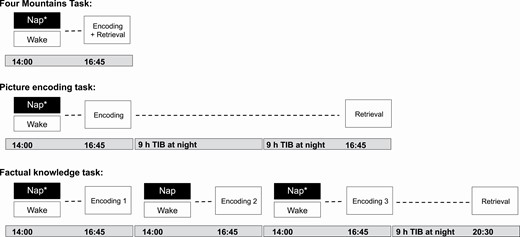 Memory task protocols. All encoding sessions were performed at 16:45 pm, approximately 75 min after the nap period (14:00–15:30 pm). In the Four Mountains Task (4MT), encoding was immediately followed by retrieval. For the picture encoding task, the retrieval session was performed after two nights of 9 h nocturnal time in bed (TIB). Encoding sessions for the factual knowledge task took place across 3 days, with encoding of material occurring after the nap period. The retrieval session took place in the evening (20:30 pm) of the next rest day. Asterisks indicate the naps in which sleep was assessed with polysomnography.