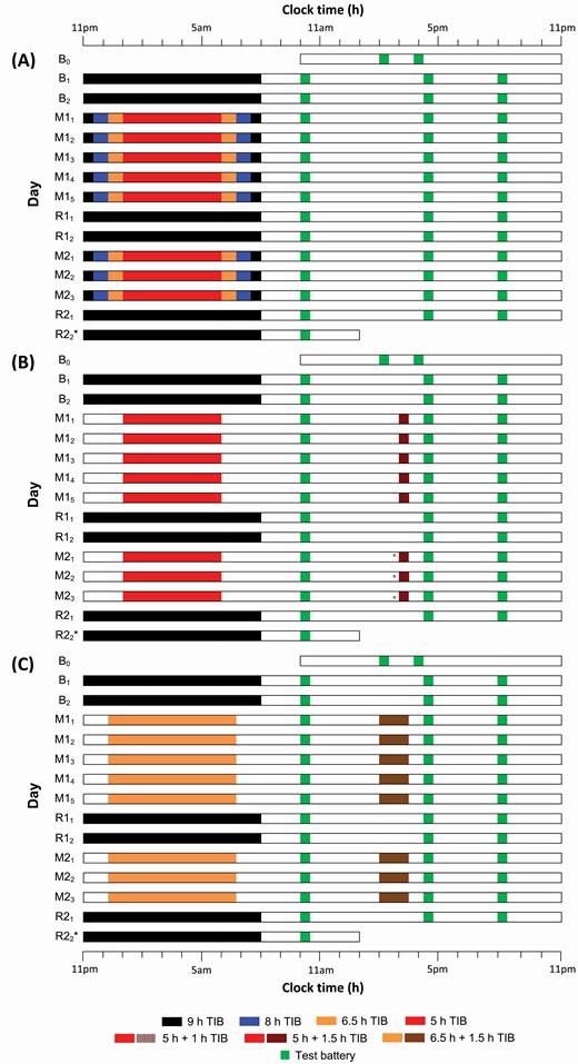 Experimental protocols. The study protocol lasted for 14 (9 h group) to 15 days (remaining groups). (A) The 9 h group maintained the same 9-h TIB (23:00–08:00; black bars) throughout the protocol (*day R22 is not applicable to the 9 h group because of its shorter protocol duration). All other groups started with two adaptation and baseline nights (B1 and B2) of 9-h TIB per night (black bars). This was followed by the first cycle of sleep manipulation for five nights (M11 to M15) and recovery sleep for two nights (R11 and R12; TIB = 9 h; black bars). The second cycle consisted of just three nights of sleep manipulation (M21 to M23) and two nights of recovery sleep (R21 and R22; black bars). During both sleep manipulation periods, participants had nocturnal TIBs of 5 h (5 h group; red bars), 6.5 h (6.5 h group; orange bars), or 8 h (8 h group; blue bars). Additionally, nap groups were given a nap opportunity starting at 14:00 following each sleep manipulation night. (B) Two nap groups had 5 h TIBs on the manipulation nights and were allowed to nap for either 1 h (5 h + 1 h group; shaded dark red bars) or 1.5 h (5 h + 1.5 h; dark red bars). (C) Another nap group had a 6.5-h TIB at night and 1.5-h nap opportunity (6.5 h + 1.5 h; brown bars) each day during the manipulation periods. A cognitive test battery (green bars) was administered daily at 10:00, 15:00–16:15, and 20:00, except during the first and last days of the protocols.