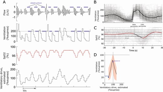 (A) Raw sample traces of flow, ventilation, SpO2, and modeled (estimated) ventilatory drive during a series of respiratory events. (B) To compute event depth, ventilation profiles for each respiratory event are aligned to the terminal breath of the event and then ensemble averaged. The event depth is then calculated as the mean reduction (from eupnea) in ensemble averaged ventilation during the event. (C) To compute desaturation slope, saturation profiles for each respiratory event were synchronized at event termination and ensemble averaged. Desaturation slope was measured as the change in oxygen saturation from the 90th (i.e. event start) to the 10th (i.e. event end) percentile of the ensemble averaged saturation profile during the event, divided by time between these points. (D) The plot of ventilation as a function of ventilatory drive illustrating the derivation of Vpassive and Vmin as the (median) ventilation observed at eupneic drive and at minimal drive (lowest decile), respectively.